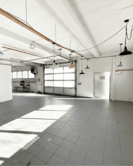 Biennale für Freiburg 3