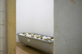 Biennale für Freiburg 3