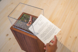 Biennale für Freiburg 3