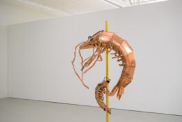 Biennale für Freiburg 3