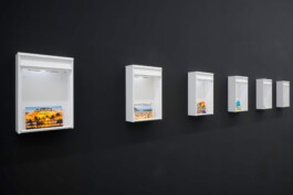 Biennale für Freiburg 3