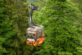 Biennale für Freiburg 3