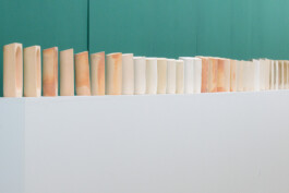 Biennale für Freiburg 3