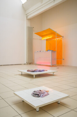 Biennale für Freiburg 3