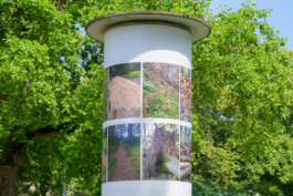 Biennale für Freiburg 3